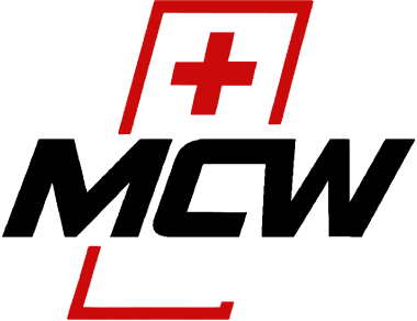 Mobilecarwach.ch